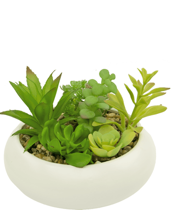 Succulente artificiali da giardino 18 cm in vaso ornamentale