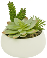 Succulente artificiali da giardino da 13 cm in vaso ornamentale