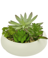 Succulente artificiali da giardino da 15 cm in vaso ornamentale