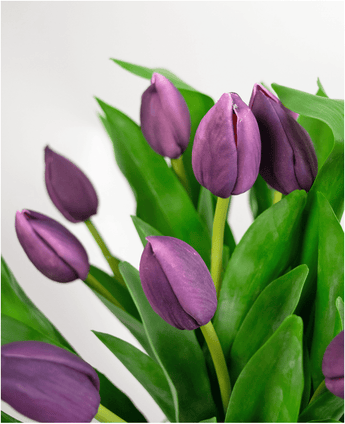 Een close-up van het Zijden kunstboeket Tulpen in vaas Paars toont een aantal paarse tulpenbloemen met groene bladeren in een vaas tegen een lichte, neutrale achtergrond.