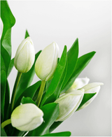 Een close-up van het Zijden kunstboeket Tulpen in vaas Wit toont frisse, levendige witte tulpenbloemen met groene bladeren tegen een zachte, onscherpe lichtgrijze achtergrond. De tulpen zijn gedeeltelijk gesloten en prachtig levensecht.