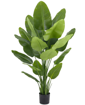 Piante finte