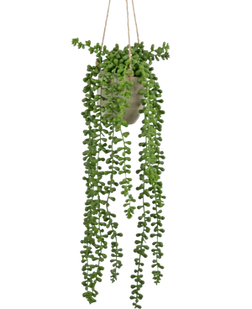 Piante artificiali sospese