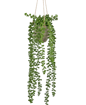 Piante artificiali sospese