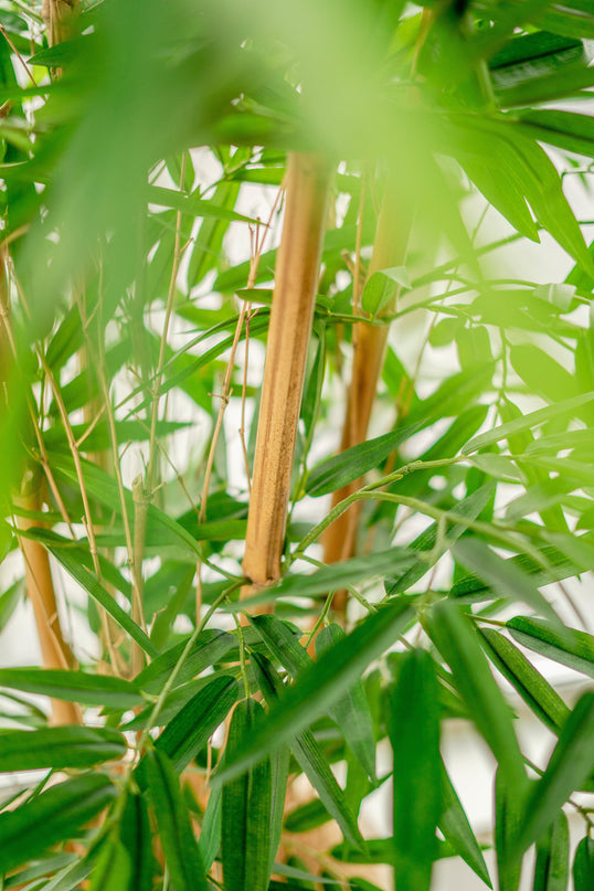 Bambù finto Deluxe 150 cm