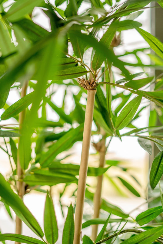 Bambù finto 210 cm