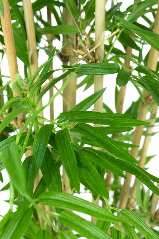 Bambù finto Giapponese 110 cm