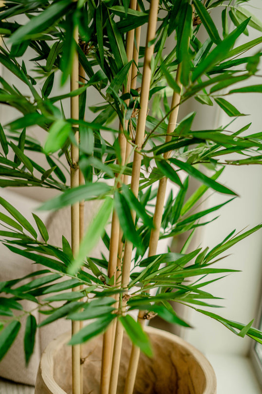 Bambù finto 150 cm