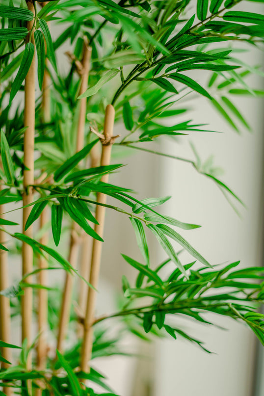 Bambù finto Giapponese 170 cm