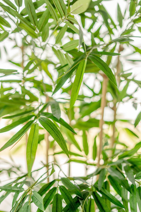 Bambù finto 210 cm