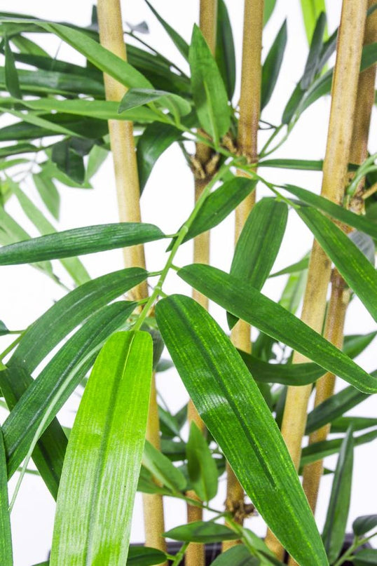Bambù finto 300 cm ignifuga