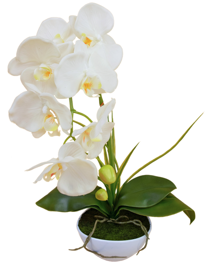 Orchidea artificiale 50 cm bianca in vaso