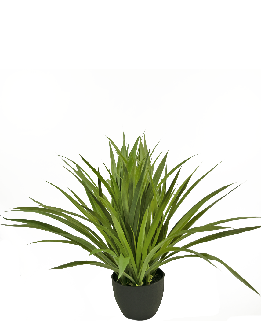 La pianta succulenta artificiale da 40 cm è una pianta d'appartamento artificiale verde e appuntita in un vaso nero, su uno sfondo bianco semplice.