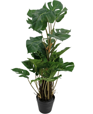 La pianta artificiale Monstera 90 cm è una pianta artificiale con grandi foglie verdi lucide con spaccature naturali, disposte verticalmente in un vaso nero su uno sfondo bianco a tinta unita.