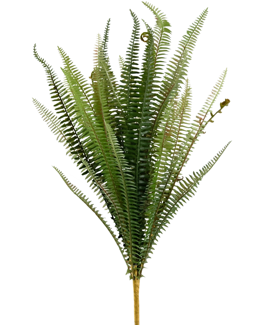 La felce punto artificiale da 64 cm è una felce artificiale verde eretta con foglie lunghe, strette e piumate e uno stelo marrone, su uno sfondo bianco semplice.