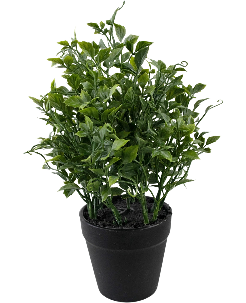 La pianta artificiale d'uva da 25 cm è una pianta artificiale verde e lussureggiante con foglie dense e appuntite in un vaso nero su uno sfondo bianco a tinta unita.