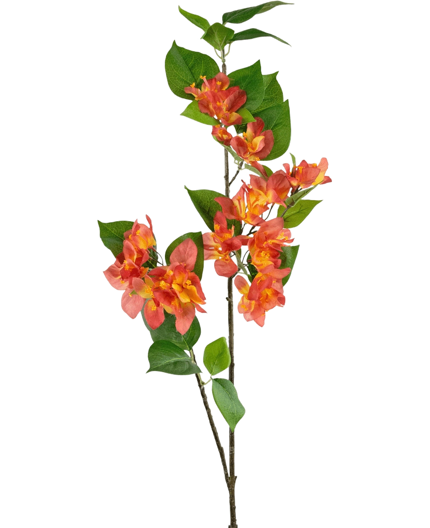 Il ramo artificiale Bougainvillea pesca 81 cm ha un unico stelo con mazzi di fiori color pesca-arancio e giallo, integrati con foglie verdi, su uno sfondo bianco.