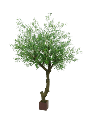L'olivo artificiale con olive da 270 cm ha un tronco contorto e fitte foglie verdi e si erge in un piccolo vaso quadrato marrone su sfondo bianco.