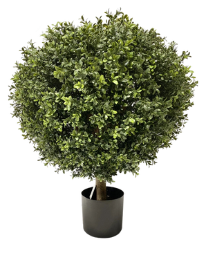 Il Bosso Artificiale su stelo UV d60 cm è una forma topiaria artificiale densa e rotonda con piccole foglie verdi e un unico stelo visibile, ben ritagliata in una palla e posta in un semplice vaso nero.