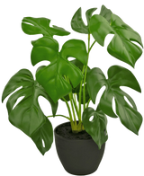 La Monstera artificiale da 40 cm in vaso decorativo nero è una Monstera artificiale con grandi foglie verdi lucide con fori e fessure naturali, in un semplice vaso decorativo nero pieno di terra scura.