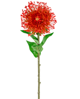 Il fiore artificiale Protea rosso da 73 cm ha petali rossi vibranti, foglie verdi e uno stelo lungo e sottile, che lo rendono un fiore artificiale sorprendente che aggiunge bellezza duratura a qualsiasi spazio.