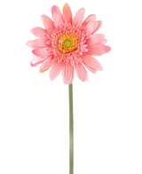 Een Kunstbloem Gerbera 55 cm roze heeft een enkele roze gerbera met een geelgroen hart op een lange groene steel, tegen een effen witte achtergrond.