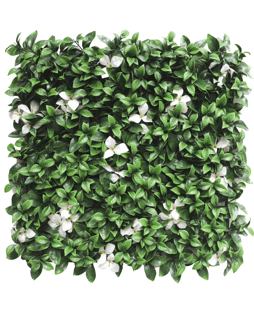 La Siepe Artificiale Gardenia con fiore bianco 50x50 cm UV è un pannello quadrato con fitte foglie verdi e fiori bianchi sparsi su sfondo bianco.