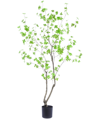 Piante Finte Enkianthus 180 cm