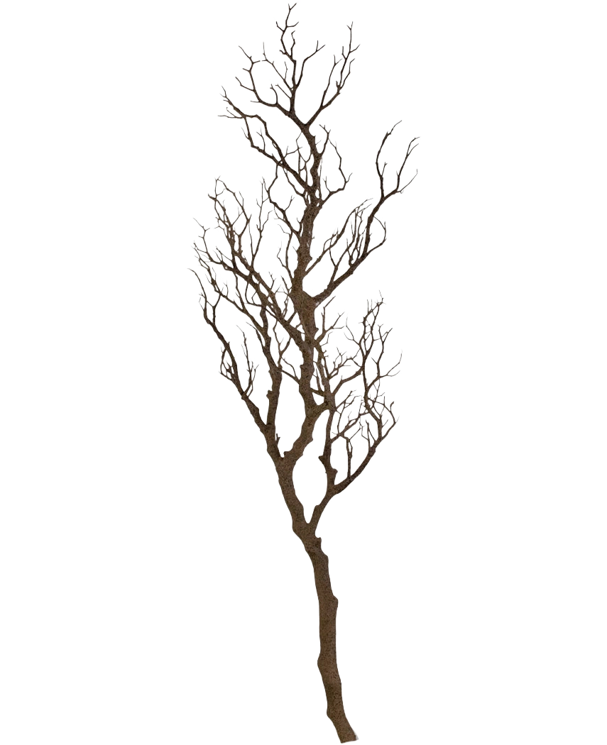 Il ramo decorativo artistico da 118 cm è un ramo decorativo alto e senza foglie con molti steli sottili e contorti che si innalzano verso l'alto, visualizzati su un semplice sfondo bianco.