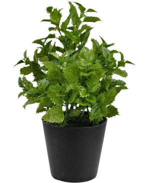 De Kunstplant Perilla 25 cm heeft levendige gekartelde groene bladeren in een minimalistische zwarte pot, perfect om een vleugje natuur toe te voegen aan elke ruimte.