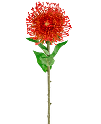 Fiore artificiale Protea 73 cm rosso