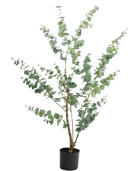 Piante Finte Eucalipto 150 cm