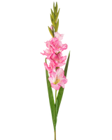 Een enkele Kunstbloem Gladiolen 93 cm felroze met meerdere felroze bloesems en knoppen, gepaard met lange groene bladeren, op een witte achtergrond.