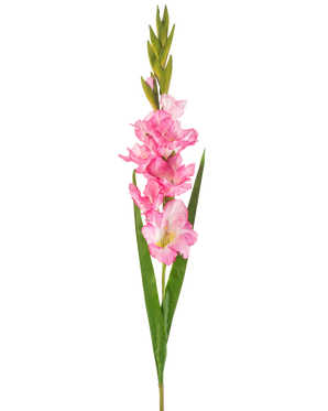 Un singolo fiore artificiale di gladiolo di 93 cm di colore rosa brillante con molteplici fiori e boccioli rosa brillante, abbinati a lunghe foglie verdi, su uno sfondo bianco.