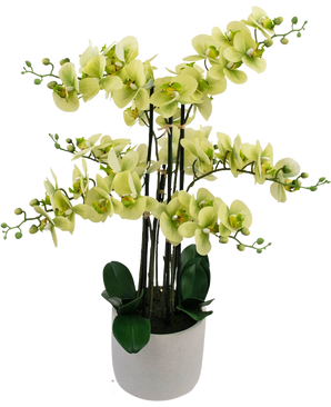 L'orchidea artificiale Real Touch 81 cm verde ha fiori di orchidea verde chiaro con foglie verde scuro in un vaso grigio chiaro, su uno sfondo bianco.