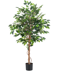 Pianta Artificiale Ficus Verde 150 cm