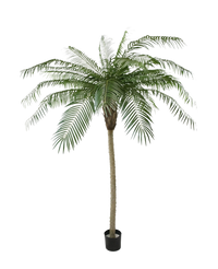 Palma Artificiale Phoenix Deluxe 210 cm