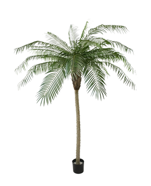 De Kunstpalm Phoenix De Luxe 210 cm heeft lange, gebogen groene bladeren en een gestructureerde stam, in een kleine zwarte pot en geïsoleerd op een witte achtergrond.
