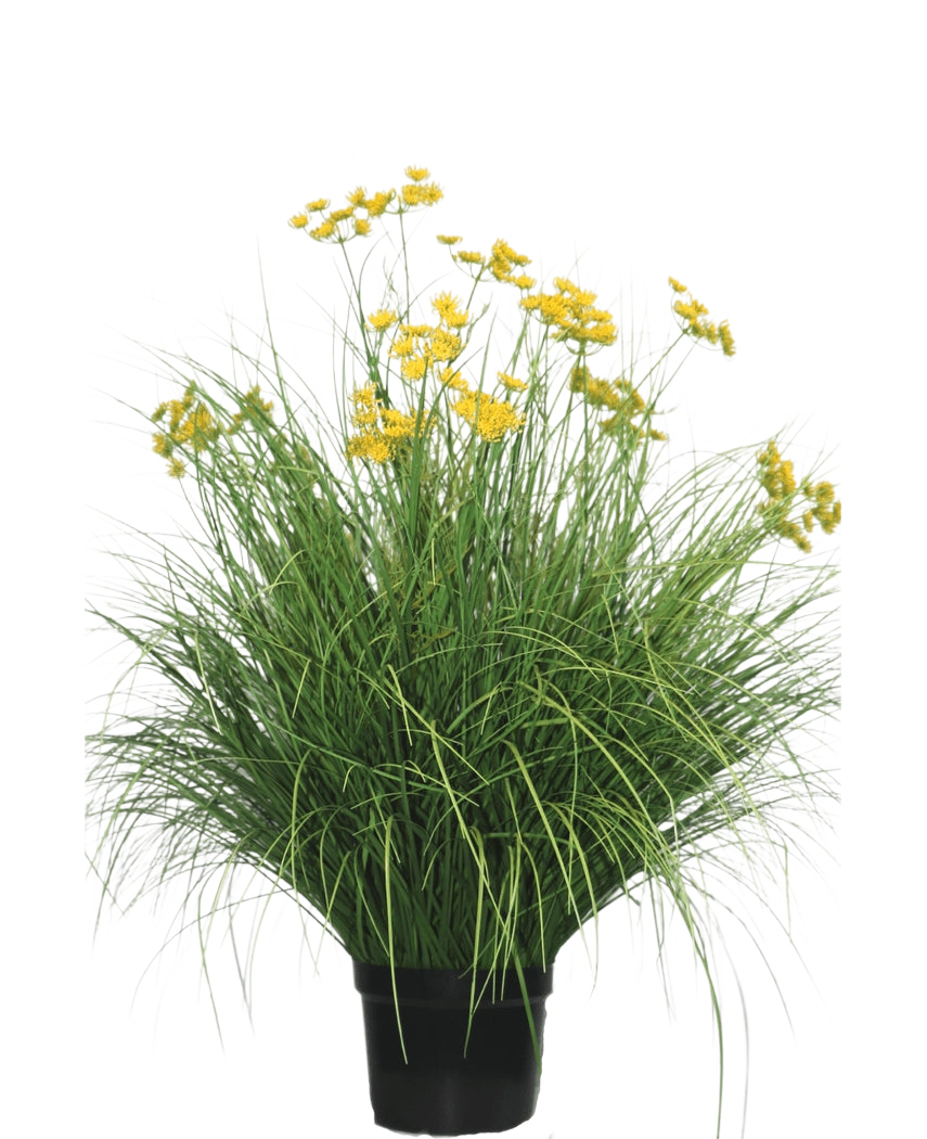 La pianta di erba artificiale Asteraceae ignifuga da 100 cm ha foglie lunghe e strette e mazzi di fiori gialli brillanti su steli alti. Questa pianta che non richiede manutenzione è bellissima in qualsiasi interno su uno sfondo bianco.