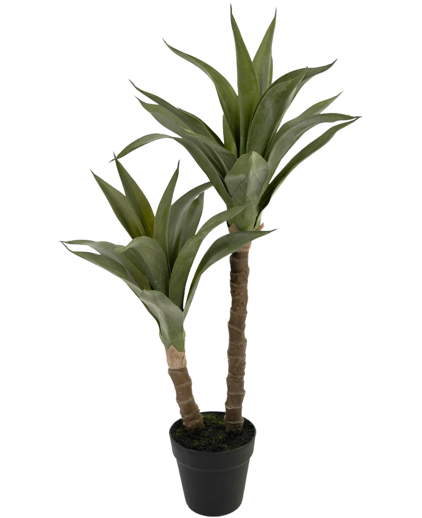 La pianta artificiale Agave da 76 cm ha due steli lunghi e spessi con foglie verdi appuntite che ricordano un'agave, presentata in un vaso di plastica nera su uno sfondo bianco semplice.
