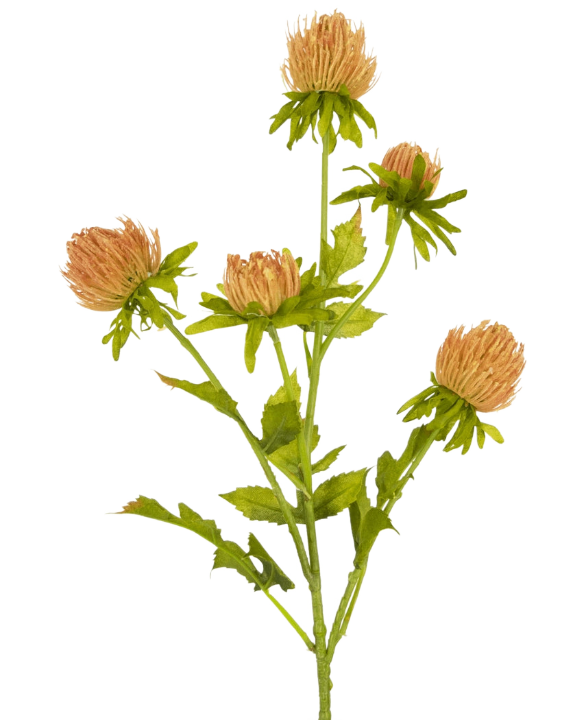 Un singolo fiore di cardo artificiale con stelo di pesca da 66 cm con cinque fiori rotondi a forma di cardo marrone chiaro e foglie verdi, raffigurati su un semplice sfondo bianco.