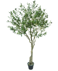 Albero ulivo finto 200 cm