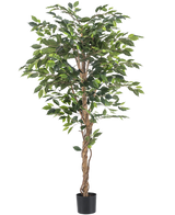 De Kunstplant Ficus 180 cm brandvertragend heeft gedraaide bruine stammen en weelderige groene bladeren, in een kleine zwarte plantenbak tegen een witte achtergrond - een elegante, onderhoudsvrije plant voor elk interieur.