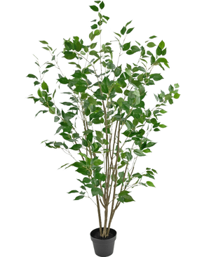 De Kunstplant Ficus 150 cm heeft meerdere slanke bruine stengels en weelderige groene bladeren in een compacte zwarte pot, waardoor een hoge kunstplant ontstaat die ideaal is voor elke ruimte.