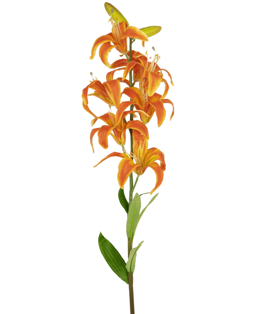 Il fiore artificiale Martagon Lily 78 cm arancione ha un unico stelo con molteplici fiori di giglio arancione vibrante e foglie verdi, su uno sfondo bianco semplice.