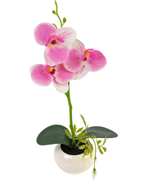 De Kunst Orchidee 28 cm wit/roze in pot heeft roze en witte orchidee bloemen met groene bladeren in een witte pot van keramiek, perfect om elke ruimte op te fleuren.