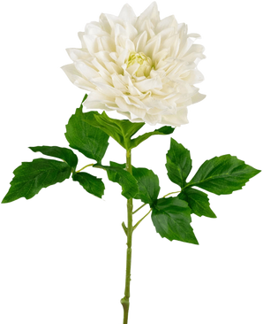 Un Kunst Georgine Real Touch bianco da 70 cm presenta una realistica dalia bianca singola con petali a strati e foglie verdi seghettate su un lungo stelo, su uno sfondo bianco semplice.
