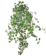 De Kunst Klimop Deluxe Groen 90cm is een cluster van dichte groene klimopranken die naar beneden en naar buiten lopen, geïsoleerd op een effen witte achtergrond.