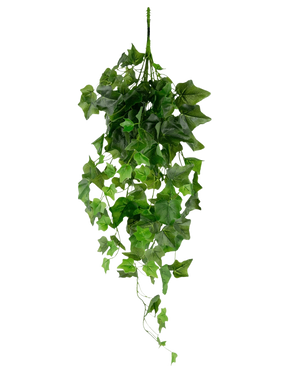 L'edera artificiale verde da 70 cm è un'edera artificiale pendente con foglie verdi pendenti e viticci multipli su uno sfondo bianco semplice.