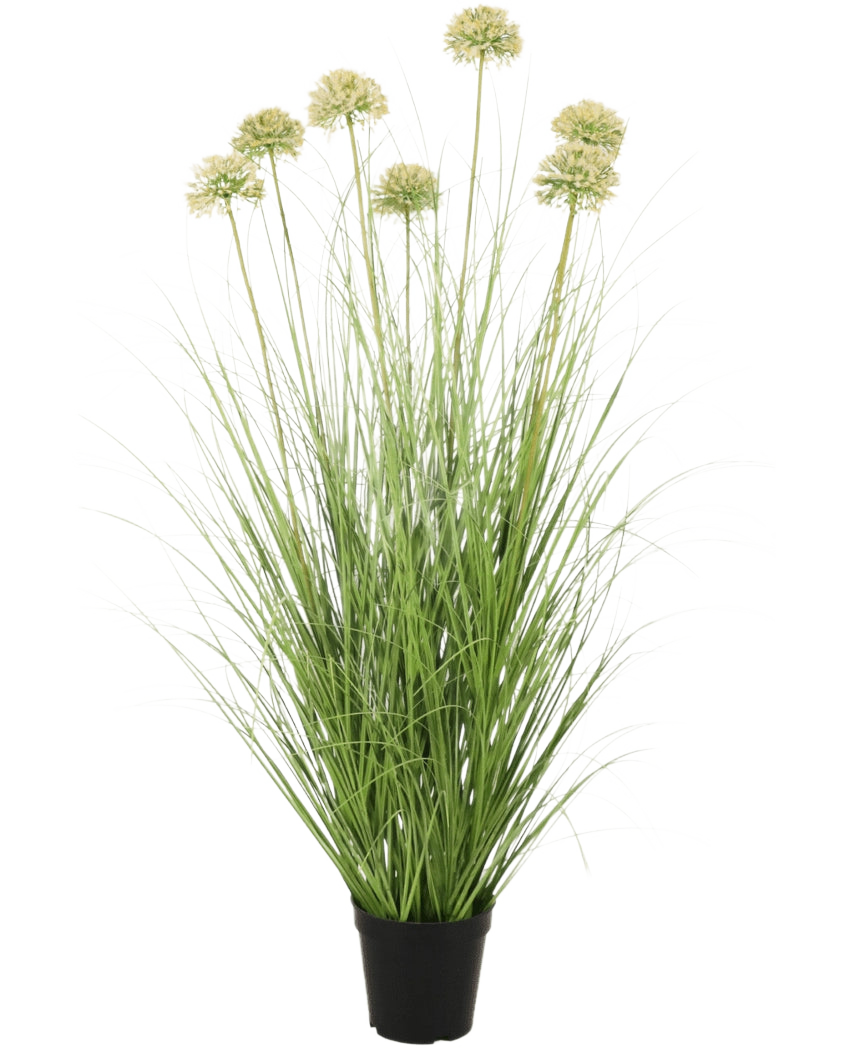 L'Erba Artificiale Cipolla 90 cm ignifuga ha foglie verdi lunghe e sottili e steli alti con grappoli rotondi di colore verde chiaro. Questa pianta artificiale ignifuga aggiunge una vegetazione duratura a qualsiasi stanza.